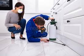 Best Residential Pest Control  in Bridgeview, IL